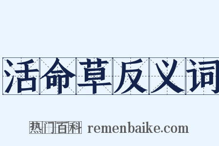 活命草反义词是什么意思的图片